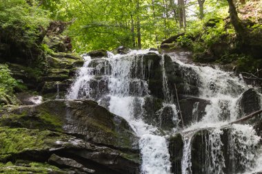 Shypit Şelalesi, Ukrayna, Transcarpathia, yaz manzarası
