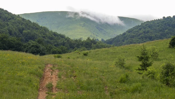 喀尔巴阡山脉的风景 山毛榉林 — 图库照片