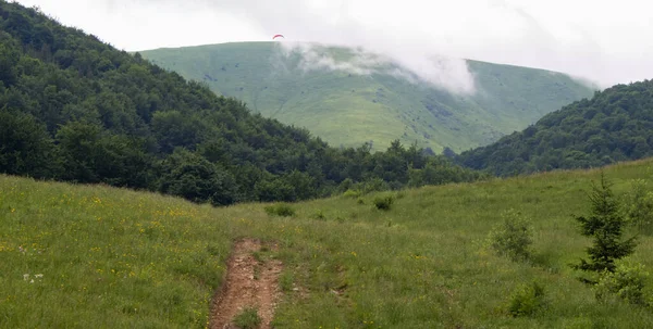 Krajina Karpat Léto Bukový Les Horizont — Stock fotografie