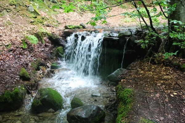 Гірський Потік Карпатах Україна Розмитий Потік Води Водоспад Літні Свічки — стокове фото