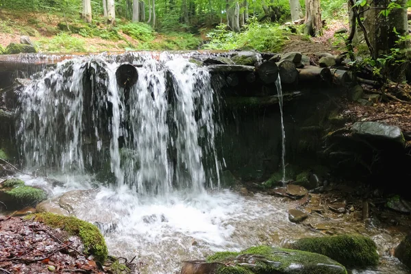 Гірський Потік Карпатах Україна Розмитий Потік Води Водоспад Літні Свічки — стокове фото