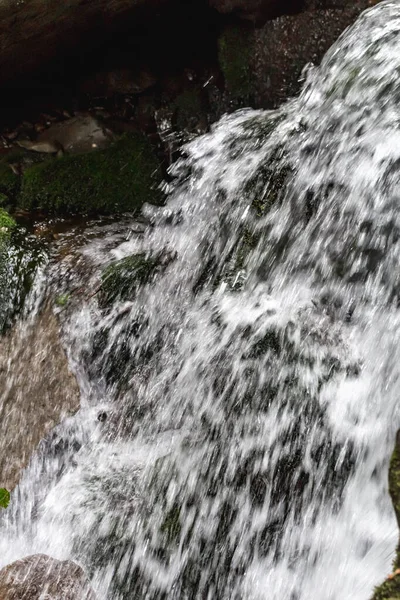 Gebirgsbach Den Karpaten Ukraine Verschwommener Wasserfluss Wasserfall Sommerfrische — Stockfoto