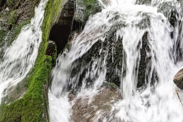 Mountain Stream Carpathians Ukraine Blurred Water Flow Waterfall Summer Freshnes — Stock Photo, Image