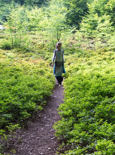 Giovane Donna Bruna Percorso Nella Foresta Dei Carpazi Estate Ucraina — Foto Stock