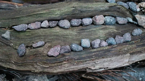 pebbles laid out in a row on a log, decoratio
