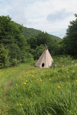 Karpat Dağları 'ndaki bir açıklıkta bej rengi çadır, yaz tatili, etnik konutlar