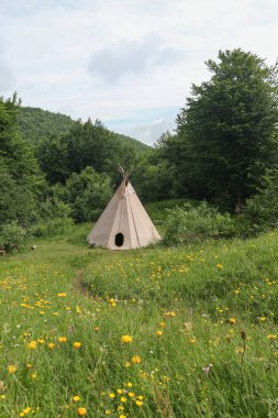 Karpat Dağları 'ndaki bir açıklıkta bej rengi çadır, yaz tatili, etnik konutlar