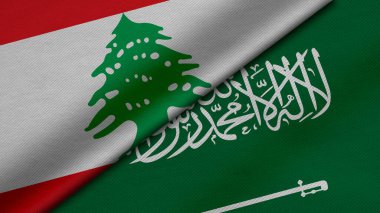 Lübnan ve Suudi Arabistan 'ın iki bayraklarının kumaş dokusu, ikili ilişkiler, ülkeler arasındaki barış ve ihtilafın 3 boyutlu şekilde yorumlanması, arka plan için harika