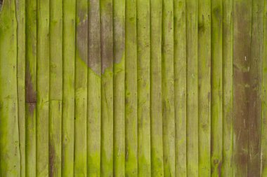 Arka plan malzemesi ya da doğal ahşap kalasların dokusu. Yüksek kalite fotoğraf