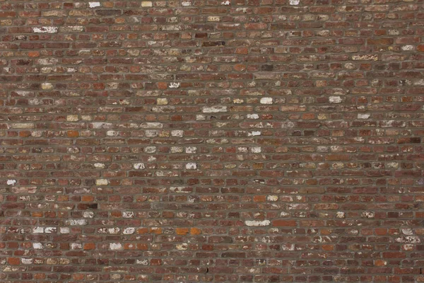 Stenen Muur Textuur Achtergrond Hoge Kwaliteit Foto — Stockfoto