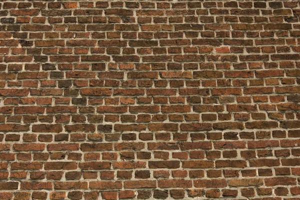 Brick Wall Texture Background High Quality Photo — Stock Photo, Image