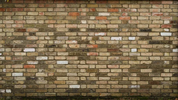 Brick Wall Texture Background High Quality Photo — Stock Photo, Image