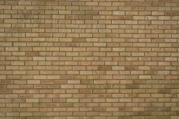 Tegelvägg Struktur Bakgrund Högkvalitativt Foto — Stockfoto
