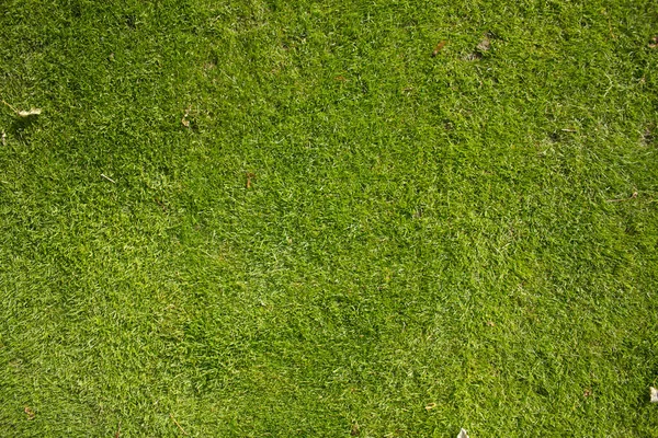 Realistic Green Grass Surface Top View Empty Space Design Element — Stock Photo, Image