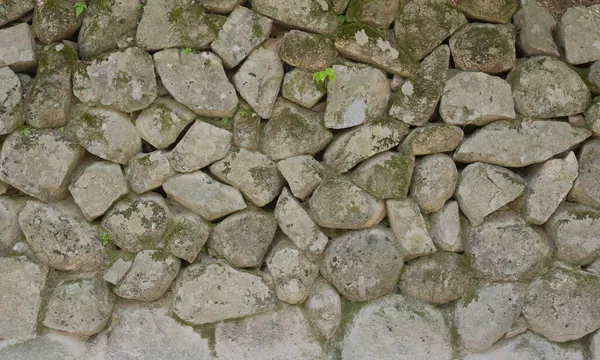 Arka plan ve doku taş duvarı. Yüksek çözünürlük