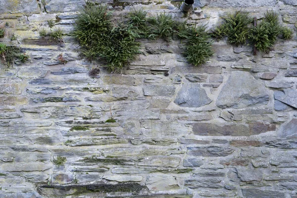 Tło Tekstura Kamienna Ściana Wysoka Rozdzielczość — Zdjęcie stockowe