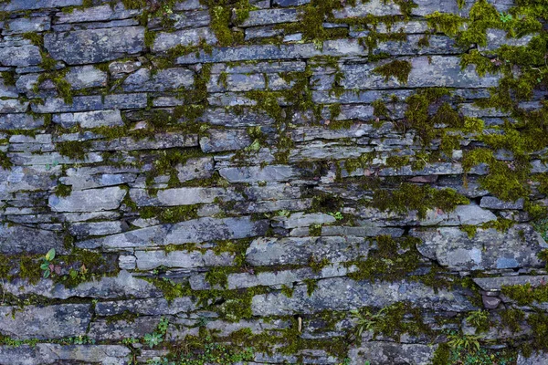 Arka plan ve doku taş duvarı. Yüksek çözünürlük