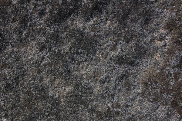 Stone Plain Texture Background Fine Detail High Resolution High Resolution — Stock Photo, Image