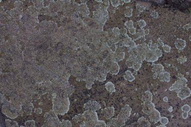 Kaya gibi düz bir yapısı var, yüksek çözünürlüklü bir geçmişi var. Yüksek çözünürlük