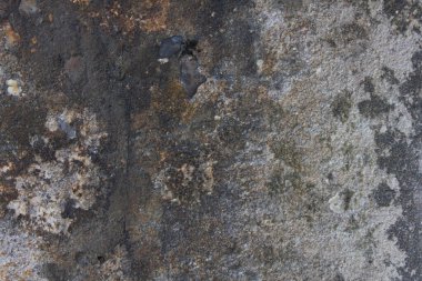 Kaya gibi düz bir yapısı var, yüksek çözünürlüklü bir geçmişi var. Yüksek çözünürlük