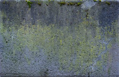 Kaya gibi düz bir yapısı var, yüksek çözünürlüklü bir geçmişi var. Yüksek çözünürlük