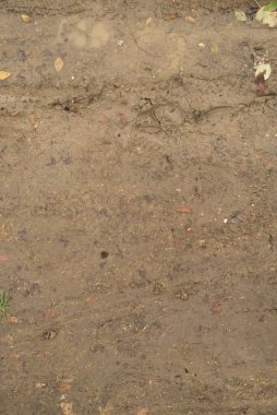 Zeminin dokusu. Yüksek çözünürlük