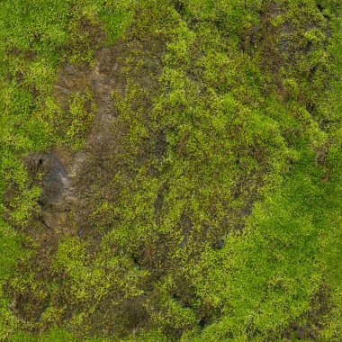 Yerin pürüzsüz dokuları. çok yüksek kalite.