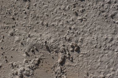 Duvar alçısının kusursuz dokusu. Doğal doku