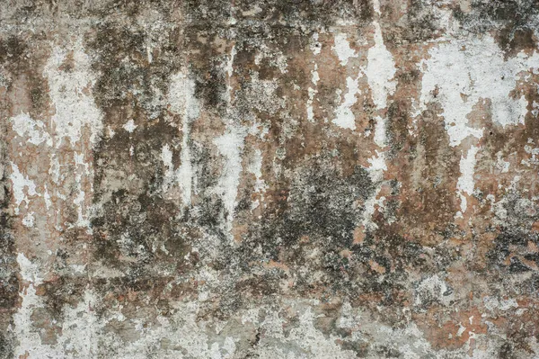 Stara Betonowa Faktura Tynku Ściennego Naturalna Tekstura — Zdjęcie stockowe