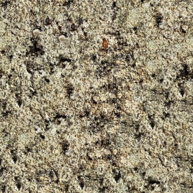 Kaba gri taş dokusu. Yüksek kalite