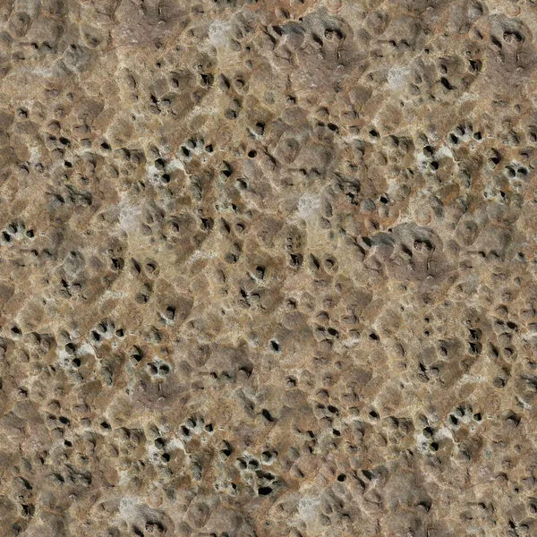 Textuur Bruine Rots Met Gaten Hoge Resolutie — Stockfoto