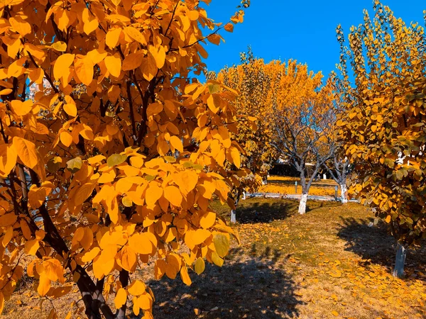 Güzel ve sonbahar günü, sonbahar duvar kağıdı