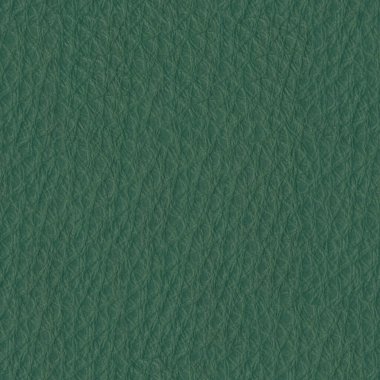 Doku yeşili deri. Yüksek çözünürlüklü. Arkaplan.