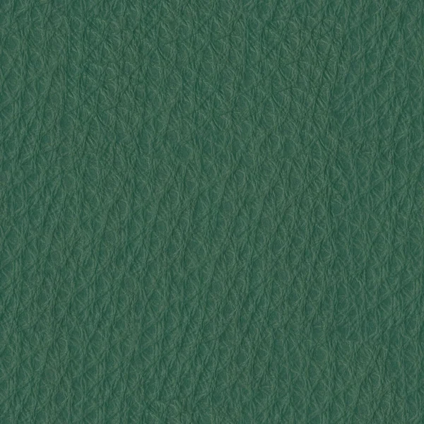 Zielona Skóra Wysoka Rozdzielczość Tekstury Kontekst — Zdjęcie stockowe