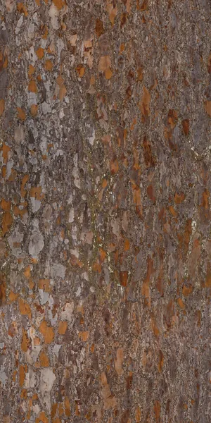 Textura Pine Tree Bark Alta Qualidade — Fotografia de Stock