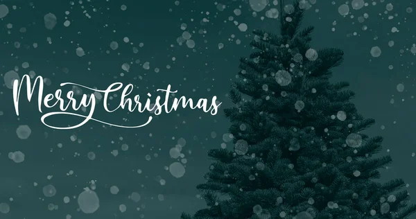 Merry Christmas Wallpaper Background Christmas Trees — Stock Photo, Image