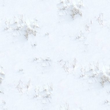 Uzun çimen, yüksek çözünürlüklü arka plan, doğal duvar kağıdı.