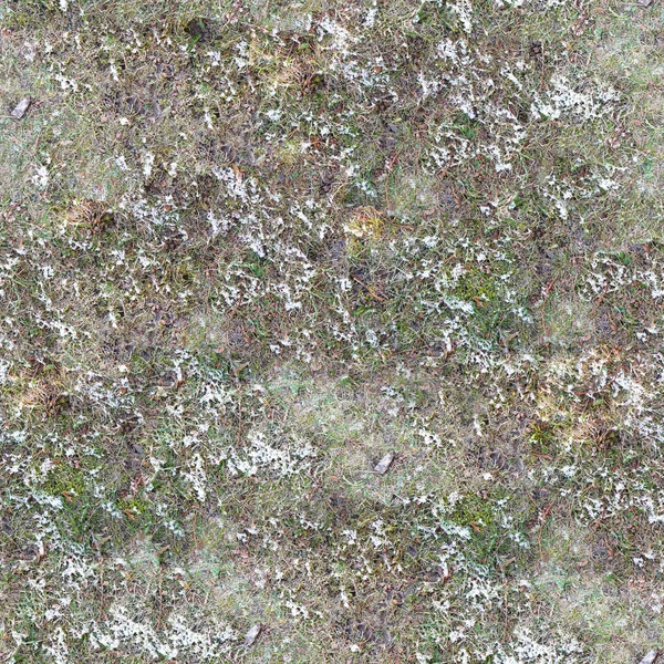 Płynna Tekstura Trawy Małym Śniegiem Tło Wysokiej Rozdzielczości Naturalna Tapeta — Zdjęcie stockowe