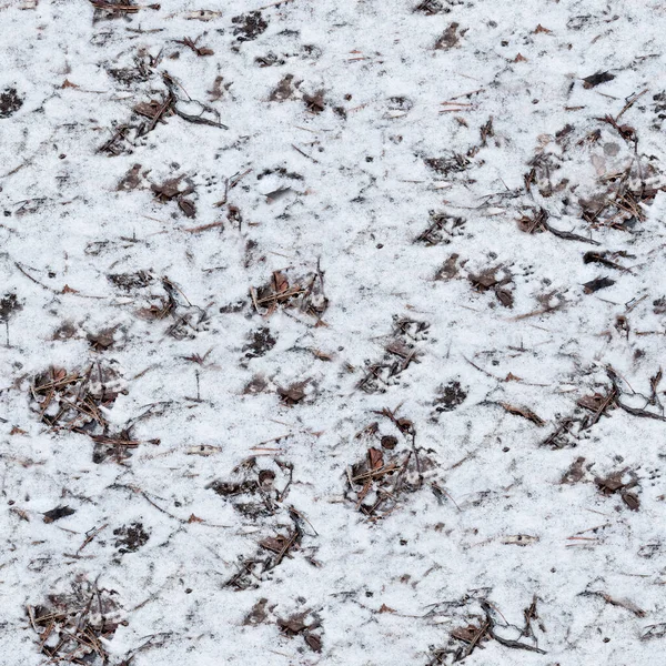 Безшовна Текстура Снігу Лісовим Послідом Фон Високою Роздільною Здатністю Натуральні — стокове фото