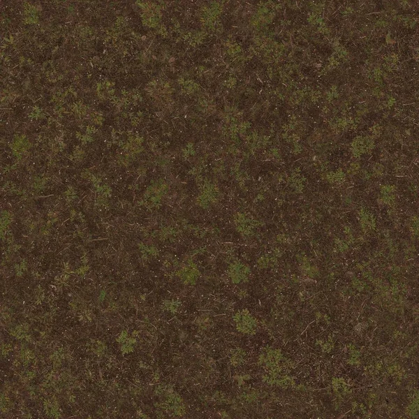 Texture Ground Dirt Forest Nature Background — Stock Photo, Image