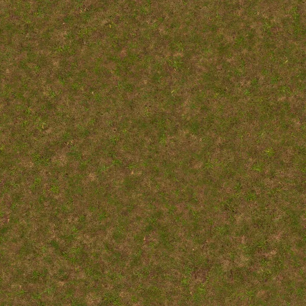 Textur Ground Grass Grön Patchy Naturbakgrund — Stockfoto