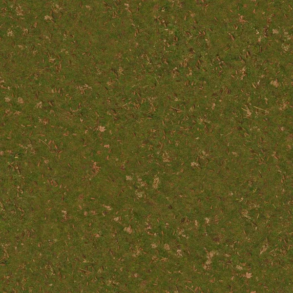 Textur Ground Grass Gröna Pinecones Naturbakgrund — Stockfoto