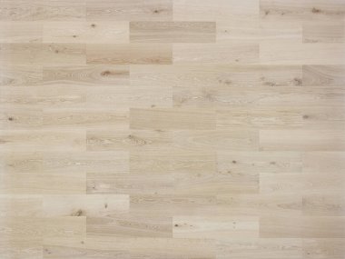 Parke dokusu, doğal arka plan. Yüksek kalite