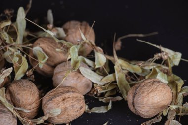 Ceviz ve yeşil-sarı yapraklar yakın plan. Siyah arka planda doğranmış fındıklar var. Kaliteli bir geçmişi var. Boşluğu kopyala