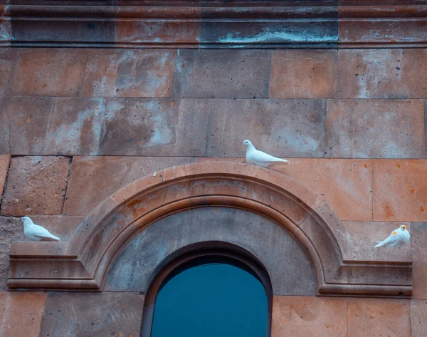 Tři Holubi Sedí Průramku Kostela — Stock fotografie