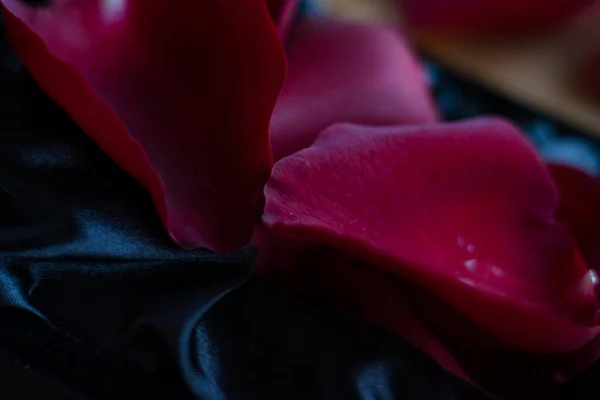 Rosenblätter Auf Holz Hintergrund Für Happy March Und Womens Day — Stockfoto