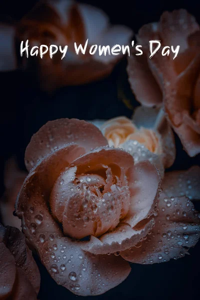 Міжнародний Жіночий День Тло Щасливий Жіночий День — стокове фото