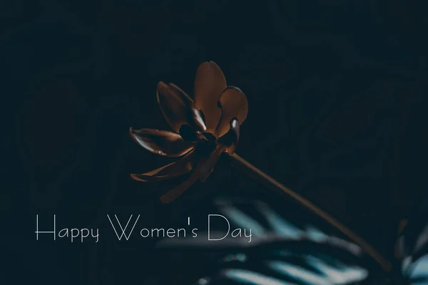 Uluslararası Kadınlar Günü Geçmişi Mutlu Kadınlar Günü — Stok fotoğraf