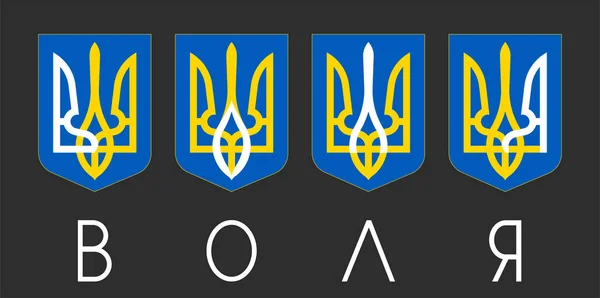 Avkodning Symboler Ukrainas Flagga Viljestyrka — Stock vektor