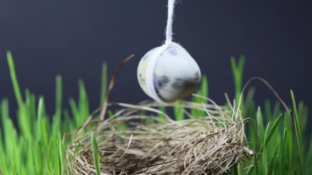 Happy Easter Video Egg Spinning Bird Nest Tied Rope — Stock Video